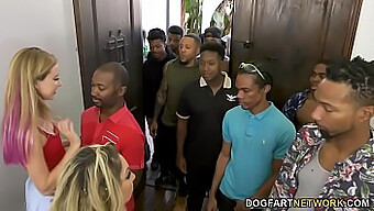 Haley Reed And Her Mother Kiki Daire Give A Blowjob To A Dozen Black Men In A Rough Interracial Group