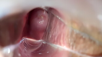 Amateur Homemade Video Of Vagina Orgasm With Speculum