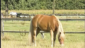 Ackerhand Genießt Erotische Begegnung Im Freien Mit Einer Üppigen Frau