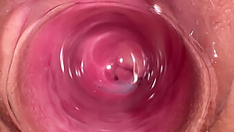 Bố Kế Mới Vào Nghề Nhận Creampie Sâu Từ Chị Họ