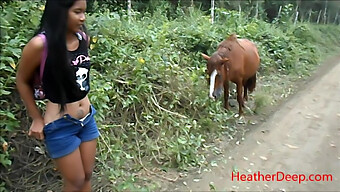 Uploaded Hd Video Of Pissing Next To A Horse In The Wilderness