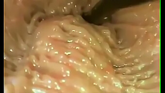 Exploração Íntima De Penetração Vaginal Em Vídeo Cru